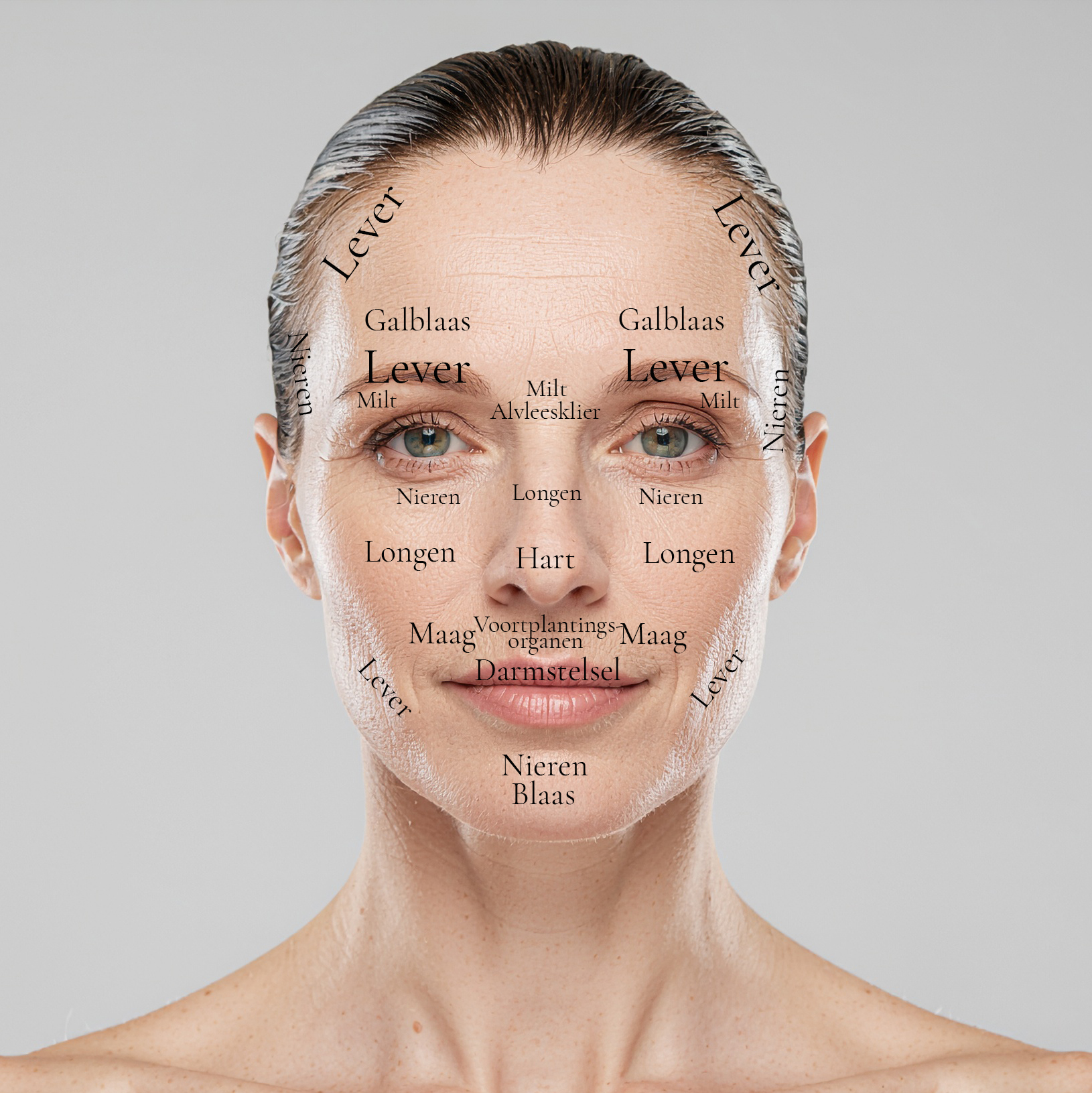 Organen op het gezicht — Chinese facereading zone-indeling